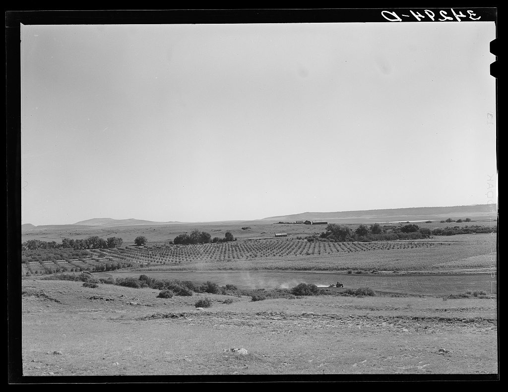 Orchard in Mora River Valley near Mora, New Mexico